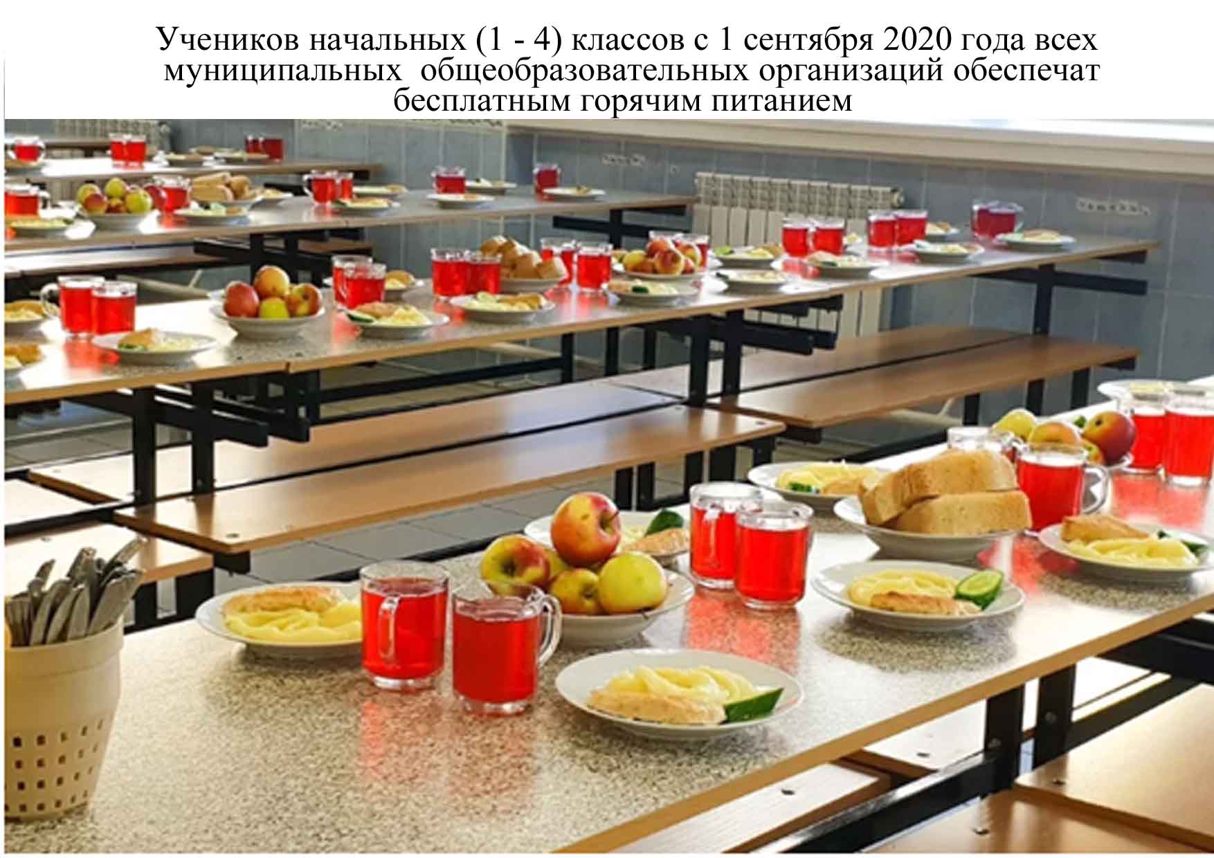 Бесплатное питание для учащихся 1-4 классов с 1 сентября 2020 года | МБОУ  МО ГК «ООШ № 14»